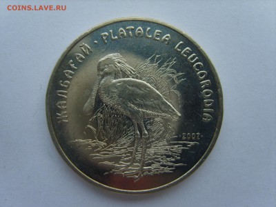 15 до 22-00. - S8300646.JPG
