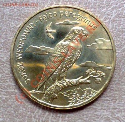 Польша 2 злотых 2008 Сокол 02.09 21.00 - Сокол-1