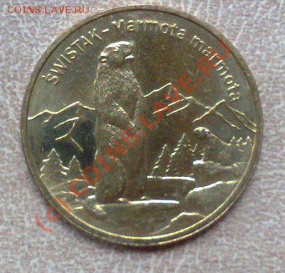 Польша 2злот 2006 Сурок 02.09 21.00 - Сурок-1