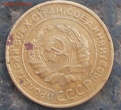 5 коп 1933 (убитая) - P8100014 (1).JPG