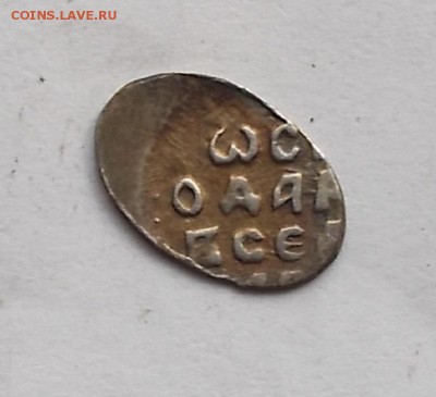 чешуйка КГ 118. - DSCF8913.JPG