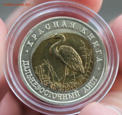  оценка) - IMG_2698.JPG