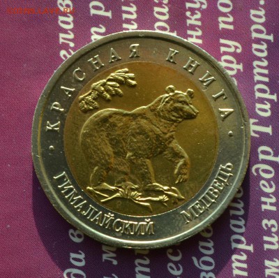 Красная книга1993 Гималайский медведь до 15.10 в 21:40 мск - медведь а