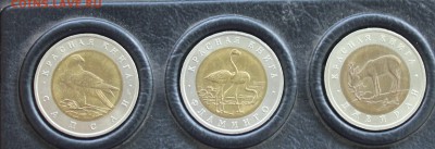 Красная книга 15 монет (1994г в коробке) - IMG_2710.JPG