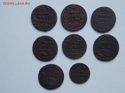 лот полушек от 1731г. по 1842г. (8шт.) 26.10.15. в 22.0. - лот полушек1