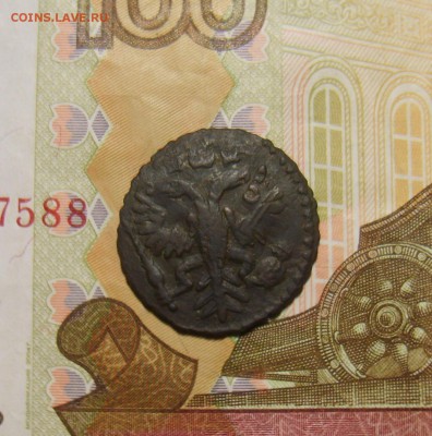 Полушка 1731г. Перечекан копейки 1728г. Оценка - S8309016.JPG