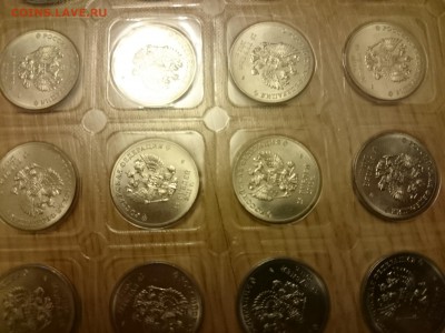 Сочи горы 2011, лист, фикс 1250р - DSC_1134.JPG