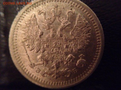 5 коп 1906г R1 отличное состояние оценка на продажу - SNnKbcxVla0