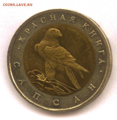 Красная книга 1994 (сапсан) до 29.10 22:30 МСК - орел1
