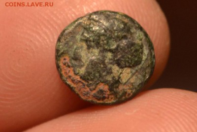 Аттика.город Эфес Малая Азия.375-325 год до н.э. - CSC_0631.JPG