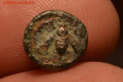 Аттика.город Эфес Малая Азия.375-325 год до н.э. - CSC_0632.JPG