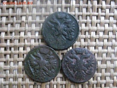 Деньга, 3 шт. 1737, 1738, 1739г. До 31.10.2015г. - 31, 1 и 2 017.JPG