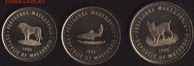 Македония 1,2,5 динар ФАО (набор 3 шт.) до 22:00мск 30.10.15 - Македония 1,2,5 динар 1995 ФАО -2