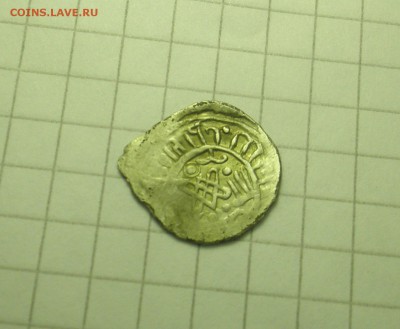 чешуйка неопознанная - PA250095.JPG