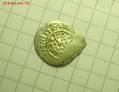 чешуйка неопознанная - PA250092.JPG