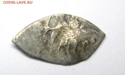 Мечевая копейка ? - IMG_5306.JPG