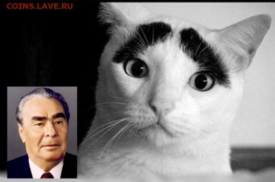 юмор - brezhnev