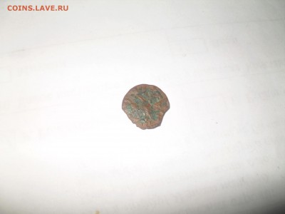 полушка 1719 чешуйка отличная - SDC19966.JPG