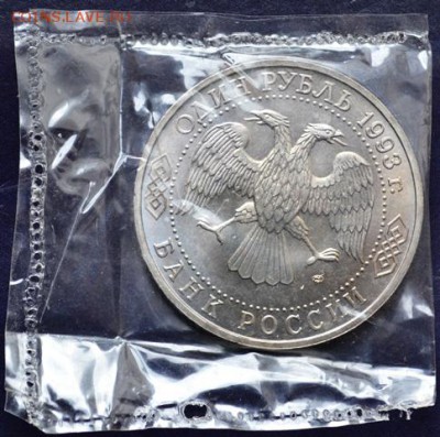 Вернадский АЦ (запайка) до 28.10.15г в 22:00 - DSC_0039.JPG