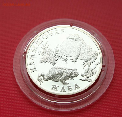 Красная книга 2004 г. Жаба до 01.11 в 22-30 мск - жаба1