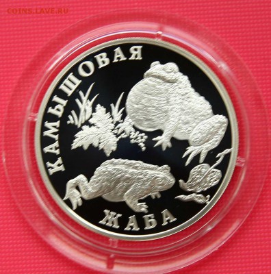Красная книга 2004 г. Жаба до 01.11 в 22-30 мск - жаба
