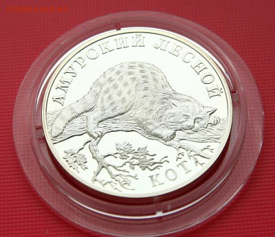 Красная книга 2004 г. Кот до 01.11 в 22-30 мск - кот1