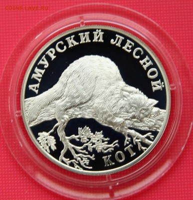 Красная книга 2004 г. Кот до 01.11 в 22-30 мск - кот
