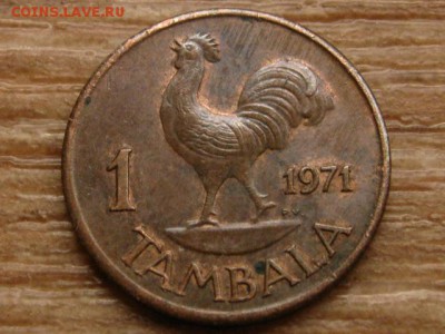 Малави 1 тамбала 1971 до 28.10.15 в 21.00 М - IMG_0581.JPG