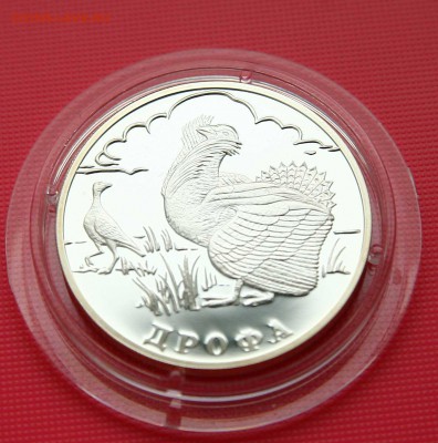 Красная книга 2004 г. Дрофа до 01.11 в 22-30 мск - дрофа1