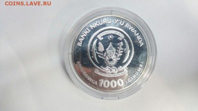 Серебряная монета Тигр Бриллиант до 29.10.15 в 22:00 Мск. - 4UPYThLUw6E