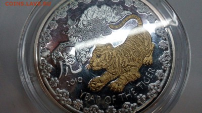 Серебряная монета Тигр Бриллиант до 29.10.15 в 22:00 Мск. - kXqRMC6PmqM