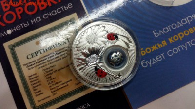 Серебро Божья коровка (Ниуэ) 2011 до 29.10.15 в 22:00 Мск. - LMbTn0D66Tk