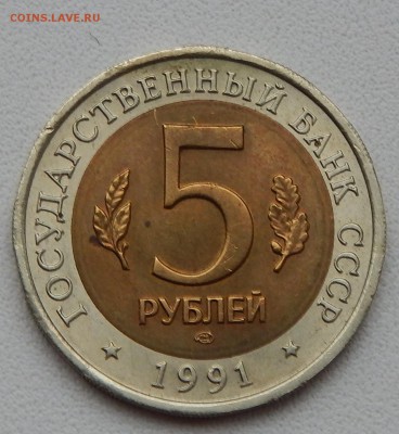 КРАСНАЯ КНИГА  РЫБНЫЙ ФИЛИН   до 30.10.15 - DSCN2192