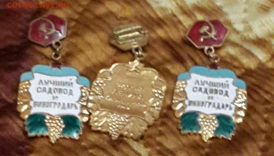 Знак Лучший садовод и виноградарь. Фикс. - 20151027_192224-1