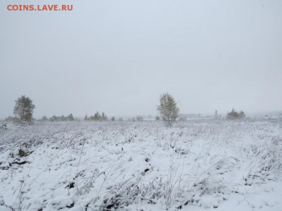 Покопушки от Русланыча . - 7981813