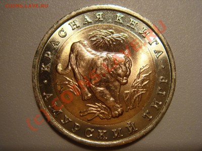 КРАСНАЯ КНИГА 91,92,93,94г. до 05.09.2010 22:00Мск ПОВТОРНЫЙ - DSC03273.JPG