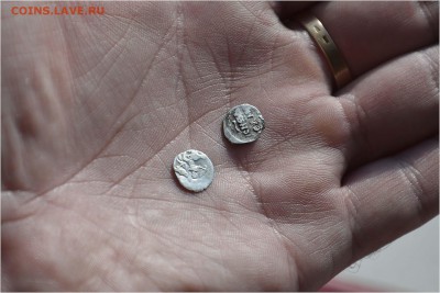 ДВЕ ЧЕШУЙКИ ИВАНА ГРОЗНОГО - _DSC4170.JPG