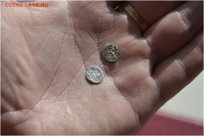 ДВЕ ЧЕШУЙКИ ИВАНА ГРОЗНОГО - _DSC4171.JPG