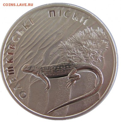 Олешковские пески, Ящерица (Украина); до 31.10.15, 22мск - олешковские пески 01