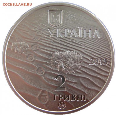 Олешковские пески, Ящерица (Украина); до 31.10.15, 22мск - олешковские пески 02
