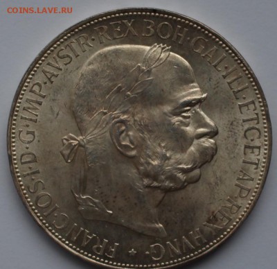 5 крон 1900 предпродажная оценка - 1.JPG
