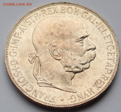 5 крон 1900 предпродажная оценка - 4.JPG