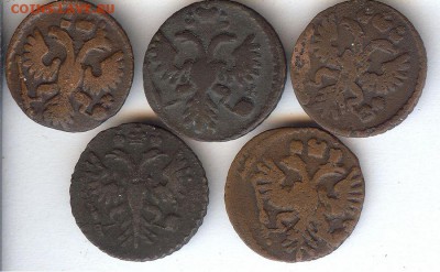 Полушки 1730-1737гг ( 5 шт )До 1.11.2015. в 22- 00 по мск - 004