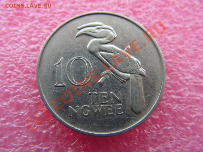 -Замбия- 10 нгвее 1968(фауна) -- 3 сентября 22-00 - PICT0710.JPG
