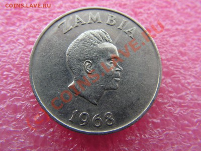 -Замбия- 10 нгвее 1968(фауна) -- 3 сентября 22-00 - PICT0709.JPG
