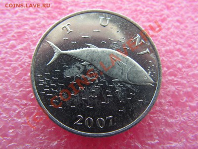 -Хорватия- 2 куна 2007(рыба) -- 3 сентября 22-00 - PICT0726.JPG
