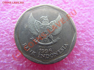 -Индонезия- 100 рупия 1996(фауна) -- 3 сентября 22-00 - PICT0732.JPG
