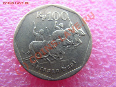 -Индонезия- 100 рупия 1996(фауна) -- 3 сентября 22-00 - PICT0731.JPG