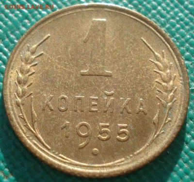1 копейка 1952 UNC и 1955 UNC СССР 22:00 02.11.2015 - DSC02745.JPG