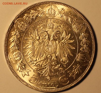 5 крон 1900 предпродажная оценка - IMG_2834.JPG